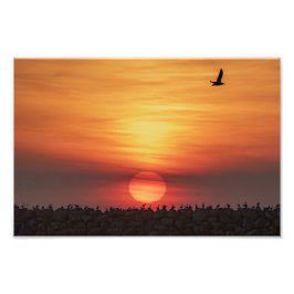 Foto Beaitiful Sunset Colors - Marina Del Rey, CA