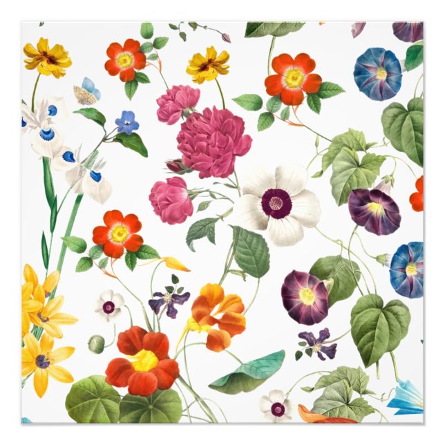 Foto Beautiful Watercolor Botanical (Frente)