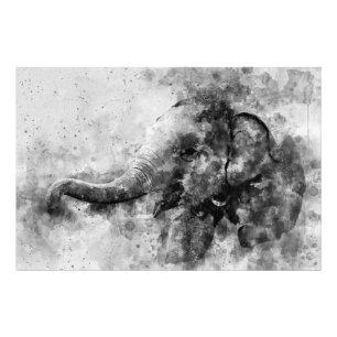 Foto Bebê-Elefante-Cachorro Preto e Branco