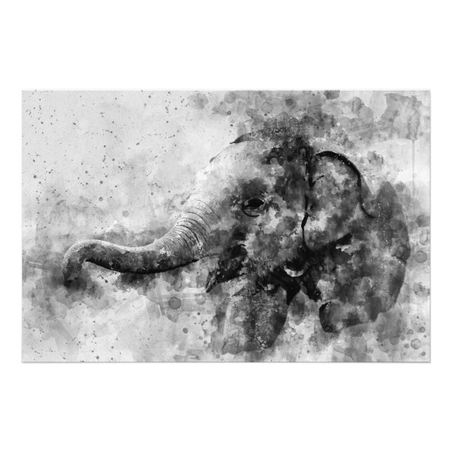 Foto Bebê-Elefante-Cachorro Preto e Branco (Frente)