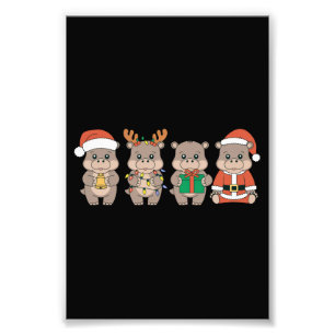 Foto Bebê Hipopótamo Moo Deng Natal