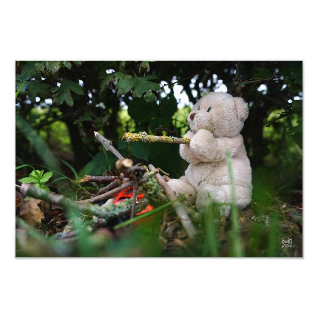 Foto Beertje dat bij kampvuur zit. (Frente)