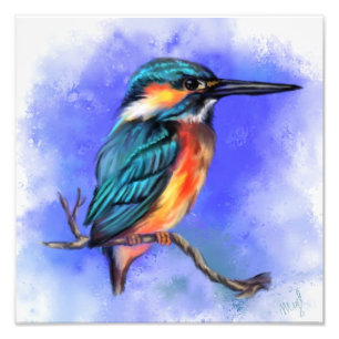 Foto Bela Ave Kingfisher - Arte de Aquarela 