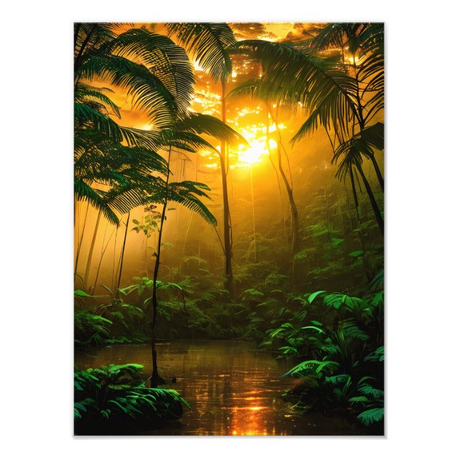 Foto Bela floresta tropical com pôr do sol (Frente)