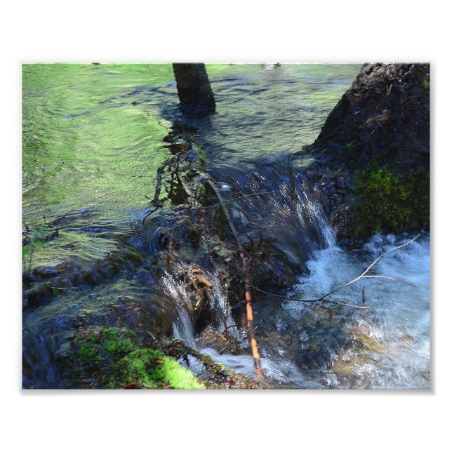 Foto Beleza Aleatória (Frente)