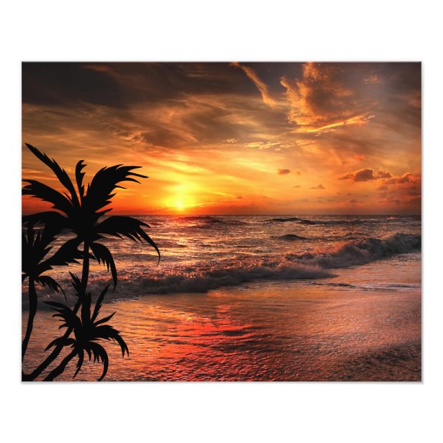 FOTO BELEZA DE NATUREZA DA PRAIA DO SOL (Frente)