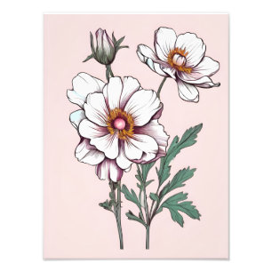 Foto Beleza Delicada: Flores Brancas a Rosa