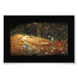 Foto Beleza Dormindo e Harp