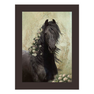 Foto Beleza Negra Cavalo Frísia - Poster