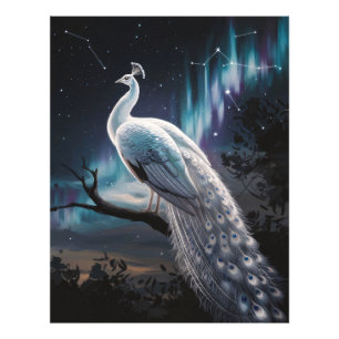 Foto Belo Pavão Branco Aurora Boreal Cênica