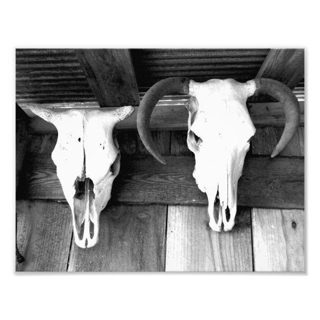 Foto Bem-vindo ao Arkansas (Frente)