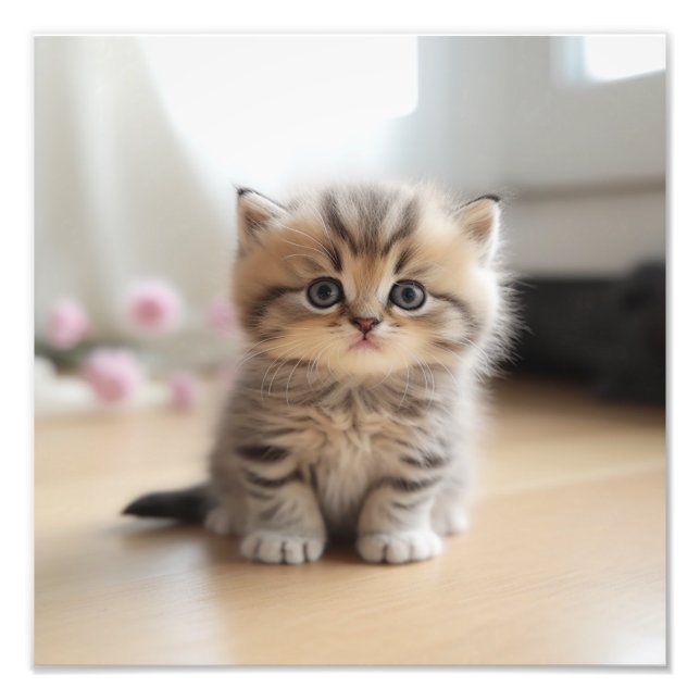 Foto Berçário de Gatinhos & Impressões para Quarto de C (Frente)