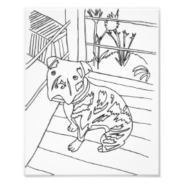 Foto Bev the Pup Impressão