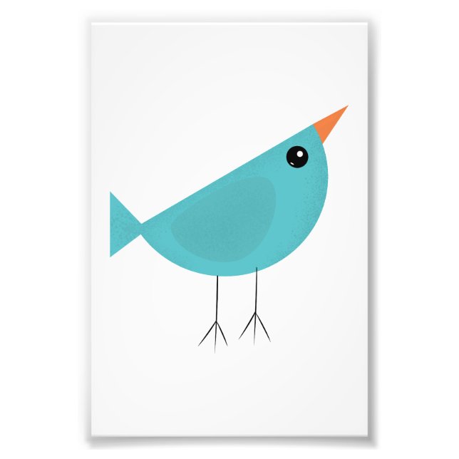 Foto Birdy (Frente)