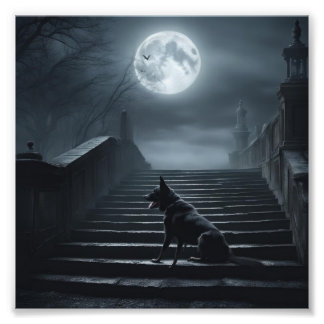 Foto Black Dog of Whitby executando os passos de 199