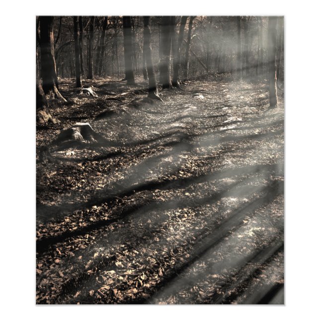 Foto Blair Witch...ali! (Frente)