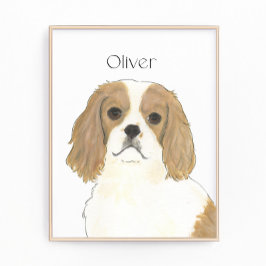 Foto Blenheim Cavalier King Charles Spaniel