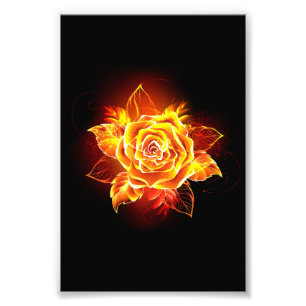 Foto Blooming Fire Rosa