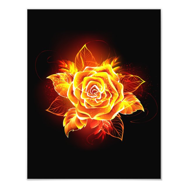 Foto Blooming Fire Rosa (Frente)