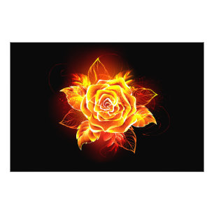 Foto Blooming Fire Rosa