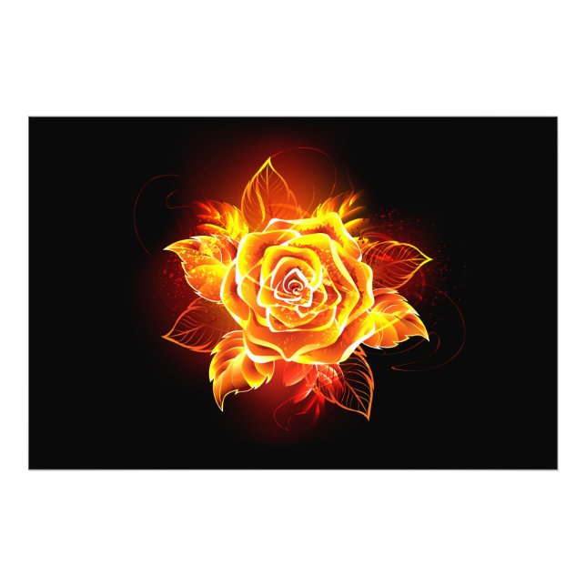 Foto Blooming Fire Rosa (Frente)