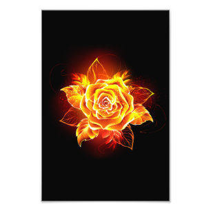 Foto Blooming Fire Rosa
