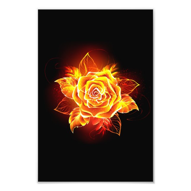 Foto Blooming Fire Rosa (Frente)