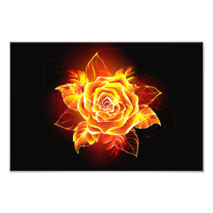 Foto Blooming Fire Rosa
