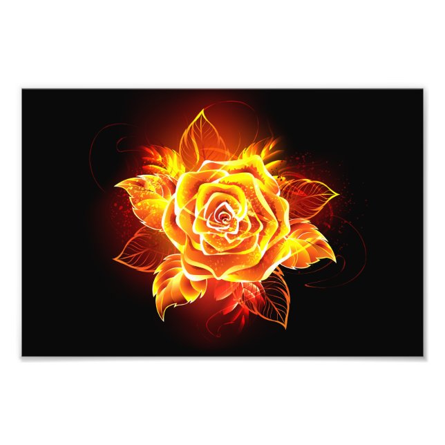 Foto Blooming Fire Rosa (Frente)