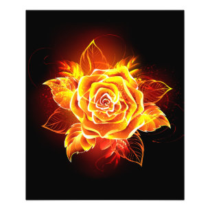 Foto Blooming Fire Rosa