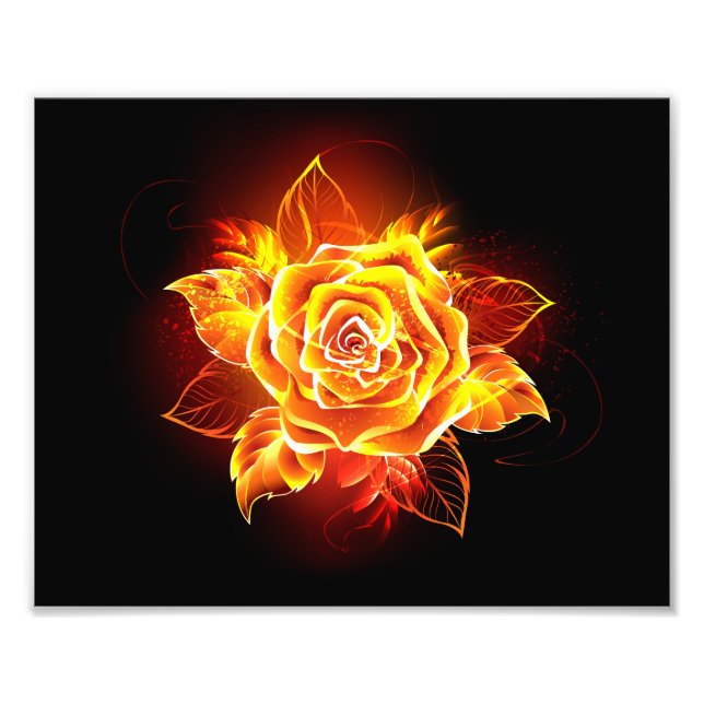 Foto Blooming Fire Rosa (Frente)