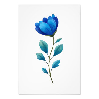 Foto Blue Floral Botanical Illustration 