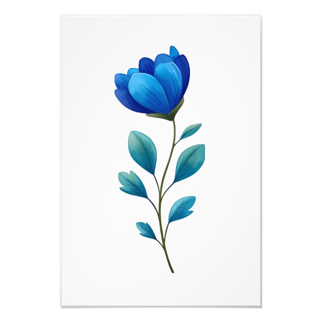 Foto Blue Floral Botanical Illustration  (Frente)