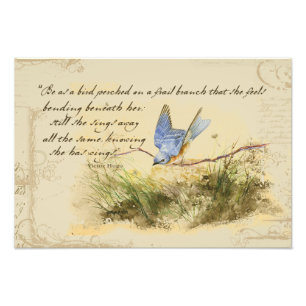 Foto Bluebird em um galho Victor Hugo Poem