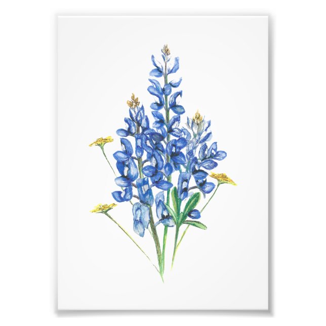 Foto Bluebonnet e flores silvestres (Frente)