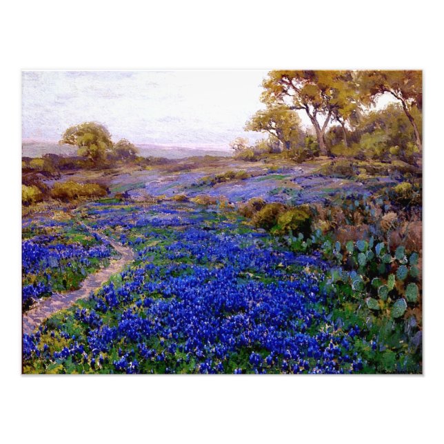Foto Bluebonnets em Twilight, norte de San Antonio (Frente)