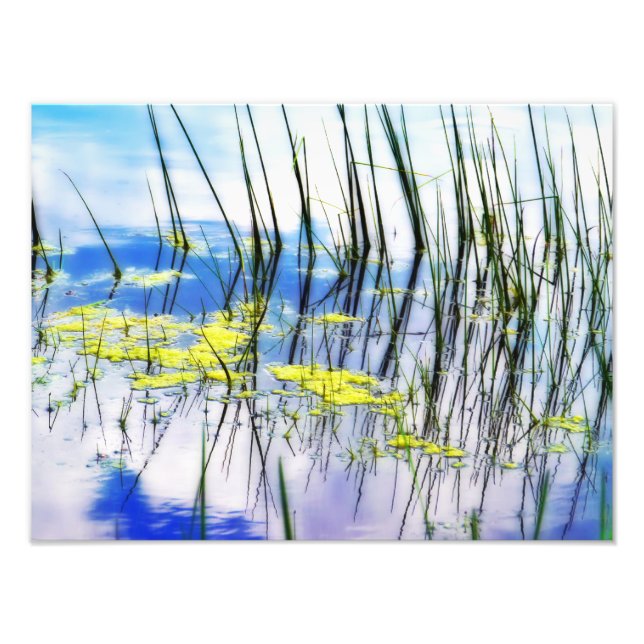 Foto Blues e Grass (Frente)
