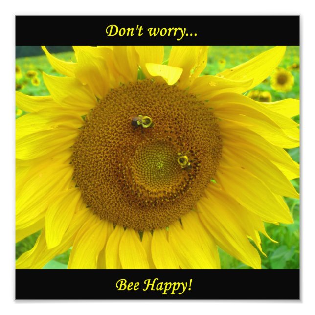 Foto BO1050 12x12 (Frente)