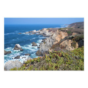 Foto Bodega Head, Lado e Trilha