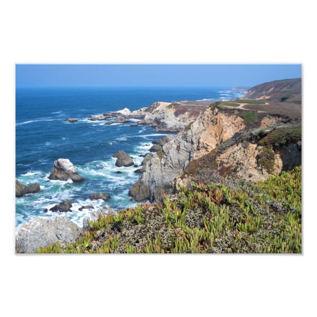 Foto Bodega Head, Lado e Trilha (Frente)