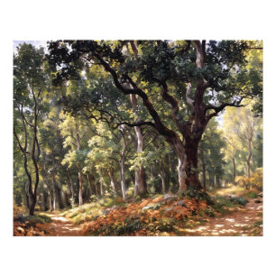 Foto Bodmer Oak