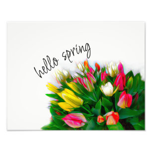 Foto bold tulipas vermelha e amarela alô primavera pers