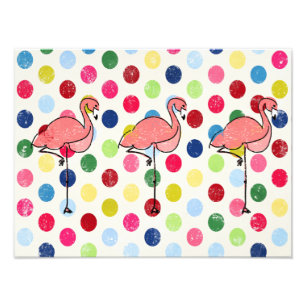Foto Bolinhas coloridas dos flamingos Funky bonitos