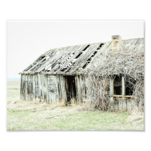 Foto Bones Rural Farmhouse Style Barn