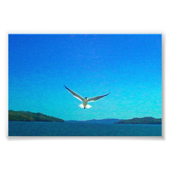 Foto Bonita (Frente)