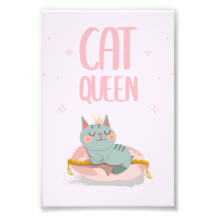 Foto Bonita Rainha Giva Ideia, Gato Engraçado Gato Gat