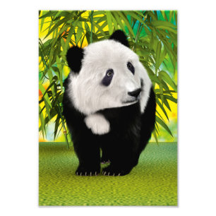 Foto Bonito Amante de os animais Panda Bear Cub Kawaii