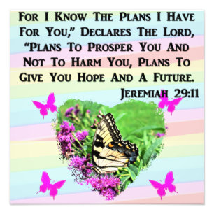 FOTO BONITO MANTEIGA JEREMIAH 29:11