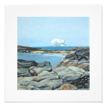 Bonnie Scotland linda Bass Rock North Berwick