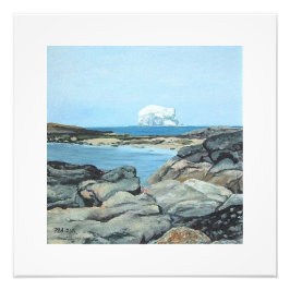 Foto Bonnie Scotland linda Bass Rock North Berwick